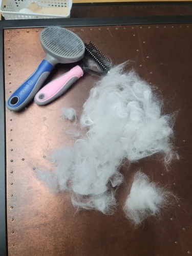 Grande quantidade de pelos removidos ao lado da escova