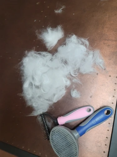 Pelos removidos do pet ao lado da escova